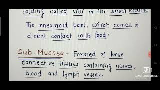 Basic layers of Alimentary Canal Ch16 Digestion and Absorption CLASS 11 BIOLOGY [upl. by Lebisor]