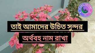 আমিনা নামের অথ কি Anina na merath ki aman and Amir auraton ki [upl. by Aronaele]