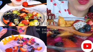 Best Natures Cereal mukbang ASMR Mukbang Eating Sounds COMPILATION fruits and coconut milk [upl. by Annekim]