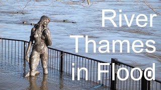 River Thames in Flood Reading and Henley 7 January 2024 4K [upl. by Viva206]