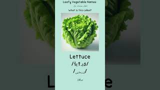 Common Indian Leafy Vegetable Names indianvegetables learnenglish english [upl. by Asli]