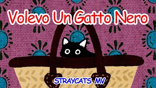 MV Volevo Un Gatto Nero revision [upl. by Svetlana952]