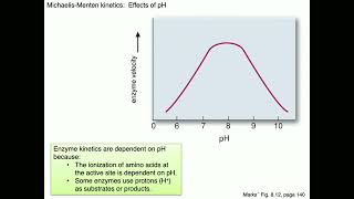 Medical Biochemistry Enzyme Kinetics Skildum [upl. by Neom542]