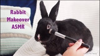 Rabbit Gets a Makeover  ASMR  RELAXING [upl. by Teresa390]