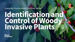 Identification and Control of Woody Invasive Plants [upl. by Damon]