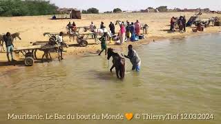 Mauritanie Le Bac du bout du Monde [upl. by Towill]