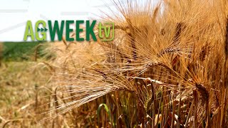 AgweekTV Full Episode 012024 S10E03 [upl. by Nerte]