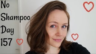 157 Days with No Shampoo Hair Loss amp Brushing Techniques [upl. by Atilamrac359]