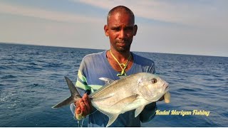 Thrilling Moment Catching Big Trevally fish in Slow Trolling Deep Sea streetfood reels [upl. by Eelano]