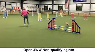 2024 11 10 Rusty runs agility [upl. by Milore]