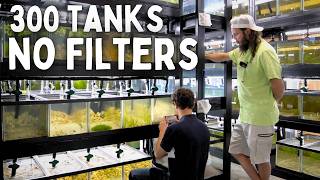 300 Aquariums with NO FILTERS  In Depth Tour [upl. by Jelks664]