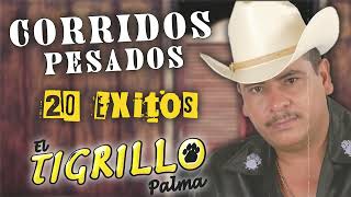 El Tigrillo Palma Mix Corridos Pesados  20 Exitos De El Tigrillo Palma [upl. by Anissa561]