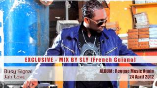 Busy Signal  Reggae Music Again ALBUM Mix  Exclusive 2012 [upl. by Yemaj]