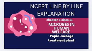 sewage treatment plant part 1 microbes in human welfare NCERT line by line explanation [upl. by Faulkner523]