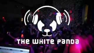 The White Panda  Panda Waves Ep 9 [upl. by Nyliret]