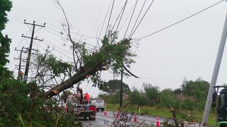 Nueva Zelanda declara estado de emergencia por fuerte ciclón quotsin precedentesquot  AFP [upl. by Templeton]