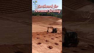 Earthwork for Arecanut Plantation agriculture [upl. by Sacks]