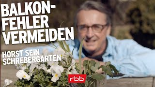 Balkone richtig bepflanzen  so vermeidet ihr die 10 größten Fehler  Horst sein Schrebergarten [upl. by Wolk]