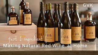 How to Make Natural Red Wine at Home [upl. by Romulus759]