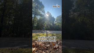 Day 10 Learning New Tricks Backside Bigspin bigspin skate skateboardtrick treflip skater [upl. by Assetal]