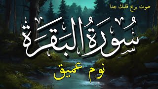 سورة البقرة قاتلة الشياطين 💗💤 بصوت هادئ ومريح جداً جداً 💚 تلاوة هادئة جدا للنوم والراحة النفسية 😴 [upl. by Ajad]