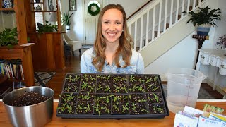 How to start seeds indoors with step by step instructions and demonstrations Northlawn Flower Farm [upl. by Papotto]