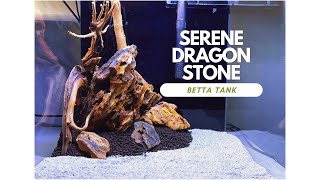 Designing a Serene Betta Habitat Dragon Stone Hardscape in Our New Betta Tank Build [upl. by Bergren]