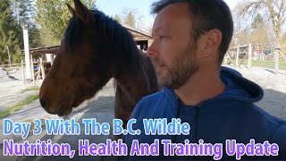 Day 3 With The BC Wildie Nutrition Health And Training Update [upl. by Blood]