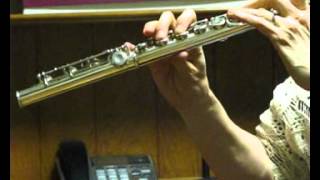 Pearl PF761 Flute Used  Offset G Split E  Mid to Low Range [upl. by Yramanna861]