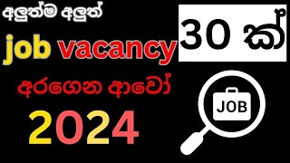 job vacancies 30  job vacancy  ‍රැකියා අබෑර්තු 30 ක් [upl. by Naesed]