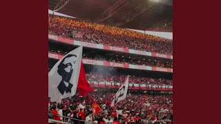 Benfica MD musica [upl. by Leuams]