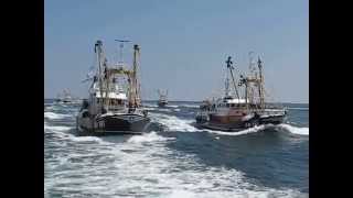 Brixham Trawler Race 2014  the finish [upl. by Marou25]