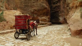 Petra And The Lost Kingdom Of The Nabataeans  Documentary [upl. by Femmine73]