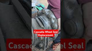 Freightliner Cascadia Wheel Seal Replacement diesel truck automobile engineering tools short [upl. by Yerdna944]