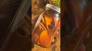 4 Ways to Pickling 👏🏽 recipes easy food foodie healthy shortsfeed foodshorts shortsviral [upl. by Nailij]