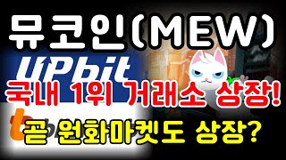 뮤코인 국내 1위 거래소 상장 곧 원화마켓도 상장 밈코인추천 캣인어독스월드 뮤코인 [upl. by Adolphe859]