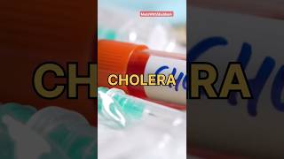 Cholera Prevention Tips for Health  Cholera disease rehydration ors health mbbs medical [upl. by Riorsson]