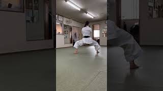 Kata Suparinpei ki you shimizu shito ryu karate kata wkf japan focus speed strength timing [upl. by Gerrie]