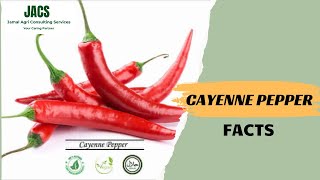 Cayenne Pepper Facts  Benefits amp Uses [upl. by Kling803]