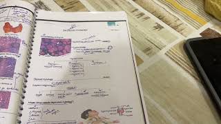 Study vlog  Neet Pg 2025 Preparation [upl. by Tertia]