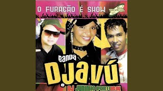 Vou pra Folia Djavú [upl. by Sheelah]