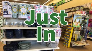 Dollar Tree 2024  NEW Finds This Week😮😮😮 [upl. by Stout]