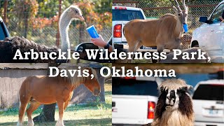 Arbuckle wilderness Park Davis Oklahoma  Safari Park 4k [upl. by Oba]