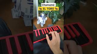 Chamamé 🐂 EL TORO 🐂 MELODICA 🎹🔥 [upl. by Aisetra350]