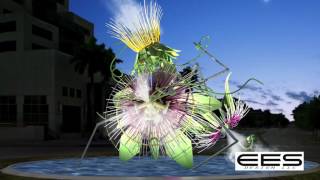 Documentary of Coral Gables Passion Flower Sculpture EES behind the scenes [upl. by Auqinahs]