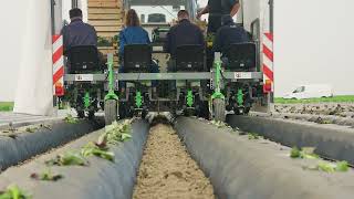 Kooiman Mechanisatie  Slips transplanter  Sweet potato transplanter [upl. by Retrop548]