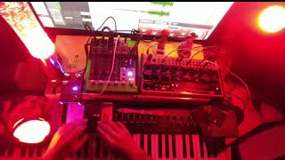 Behringer crave ambient3 live jam DROne pocket operatorjoyo atmosphere De la Joya visuals [upl. by Robaina367]