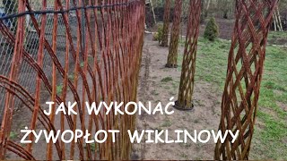 🍀 Jak wykonać żywopłot wiklinowy Naturalne formy ogrodowe [upl. by Hylton737]