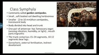 Class Symphyla and Pauropoda Phylum Arthropoda explanation in Malayalam [upl. by Anailuy]