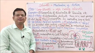 Diuretic Part 07 Loop Diuretic Mechanism of Action  High Ceiling Diuretics  Diuretic Drugs [upl. by Aridatha397]